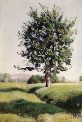 El árbol