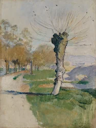 Árbol de Sauce en la Intersección, o Árbol de Sauce en Primavera, c.1885