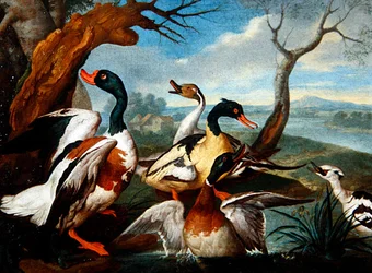 Patos en un paisaje fluvial