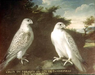 Pareja de Halcones Gerifalte en un Paisaje
