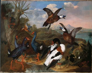 Patos concha y otras aves en un paisaje, 1720