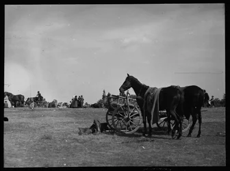 Caballo junto a carro en Semere