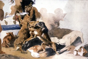 Lobos