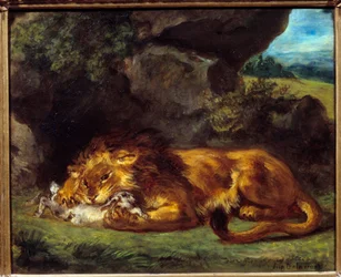 León golpeando a un conejo