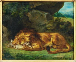León devorando un conejo - un león devorando una liebre ...