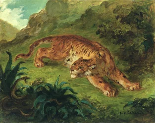 Tigre y Serpiente, 1858