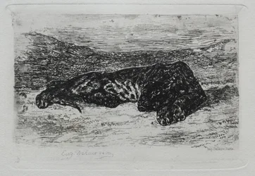 Tigre acostado en el desierto