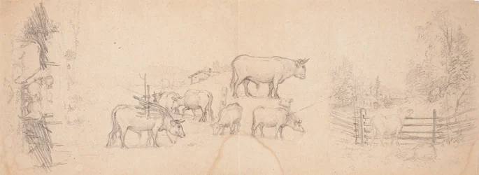 Varios esbozos de vacas y toros