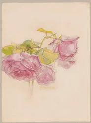 Rosas