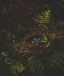 Nido de pájaro y helechos, 1863