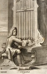 Hombre tocando el órgano
