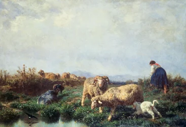 Rebaños