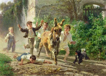 Los erizos de la calle