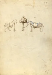 Dos caballos