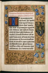 Agregar MS 54782, f.13r Ilustración de las 