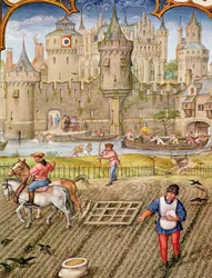 Fol.10v Mes de octubre: Siembra, del Breviarium Grimani, c.1515