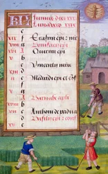 Ms 1058-1975 f6r Cortando hierba, página de calendario iluminada para junio, de un Libro de Horas, c.1500 (pergamino)