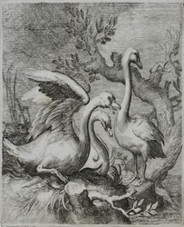 Grabado de maestro antiguo