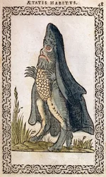 El Obispo del Mar o monstruo marino, ilustración de Omnium fere gentium nostraeque aetatis Nationum Habitus et Effigies de Jean Sluperji, Amberes, 1572