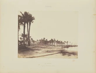 El-Nâcérah. Palmeras datileras, orillas del Nilo y barcos