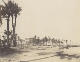 El-Nâcerah, Dattiers, Riberas del Nilo y Barcos, 1851-52, impreso 1853-54