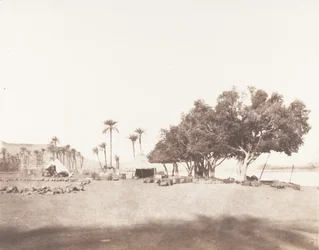 Korósko, sicomoros y campamento de una caravana para el Sennár, 1851-52, impreso 1853-54