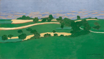 campos de maíz