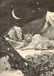 Tigre blanco gigante en las montañas