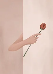 Mano sosteniendo una rosa