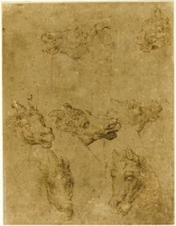 Cabezas de caballos y unicornios