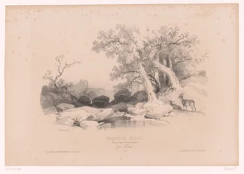 Paisaje rocoso con agua y dos ciervos. Curso de dibujo con estudios de paisajes, animales y detalles (título de la serie) Curso el diseño. Paysages, figures, animaux, accessories, de Férogio (título de la serie sobre el objeto)