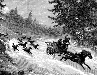 El miedo al lobo: Una manada de lobos persigue a un carro que transporta a tres personas, tirado por un caballo que huye en la nieve, en un bosque de las Ardenas - grabado de Meaulle en "El Universo Ilustro" nº 918, enero de 1872 -.