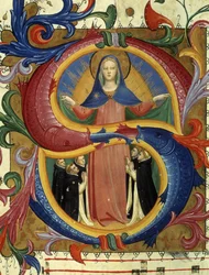 Imagen desconocida