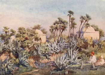 Koubba de Sidi Noumann, Bouzareah (litografía en color)