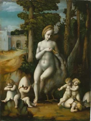 Leda y el cisne