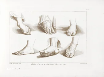 Seis pies Principios del dibujo de Cipriani (título de la serie) Rudimentos de dibujo de Cipriani (título de la serie)