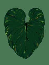 Hoja tropical de color verde oscuro