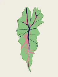 Hoja verde con vetas rosas