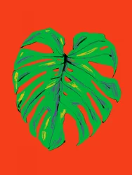 Hoja de Monstera vibrante