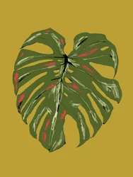 Hoja de Monstera vibrante