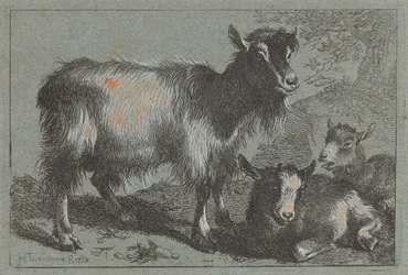 Cabra y dos cabritos, 1758