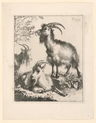 Tres cabras