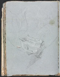 Cuaderno de Bocetos de Verona: Estudio de drapeado (página 84)