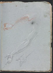Cuaderno de Bocetos de Verona: Estudio de manos y brazos (página 29)