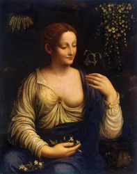 Flora