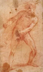 Desnudo masculino tirando de una red (?)