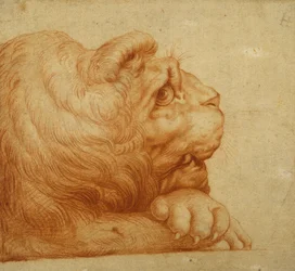 Cabeza de un león en perfil