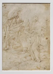 Joven en un paisaje rocoso, c.1475-80 (pluma y tinta negra y marrón, con restos de punta de metal sobre pergamino)
