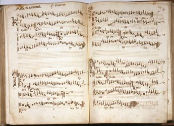 Misa de Carnaval en "Liber Capella" de Franchini (Franchino) Gaffurio (Franchinus Gaffurius) (1451-1522). Vol. III