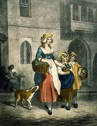 Dos ramos de prímulas a un penique, dos ramos a un penique, placa 1 de los "Gritos de Londres"